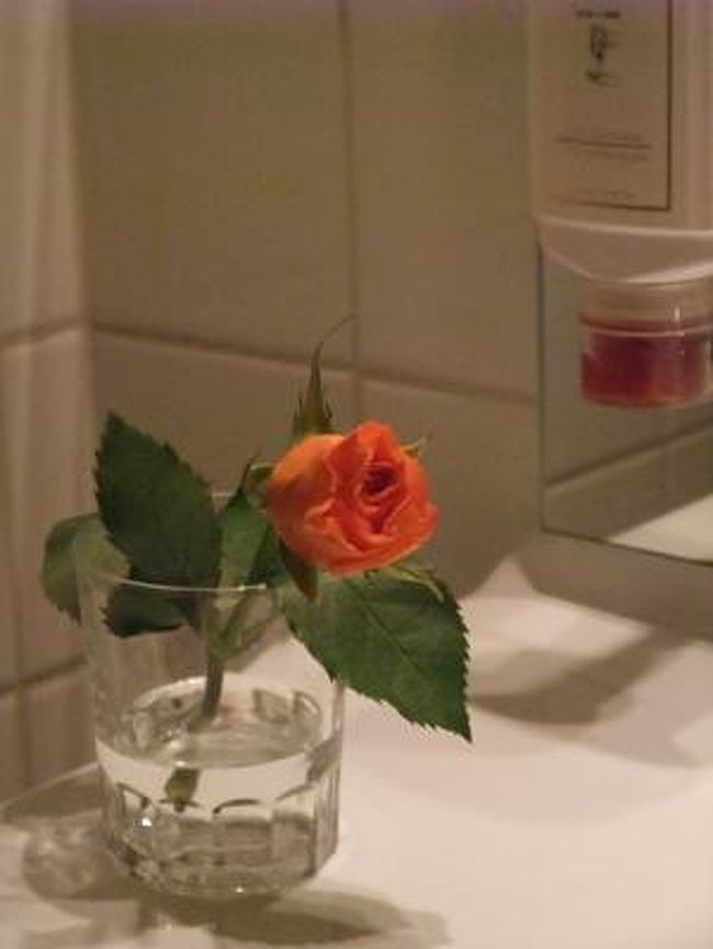 ホールの出口で、最後に女性客のみに、バラの花をくれました。<br /><br />何も包んだりとかしてない、素のバラ一本。茎も長いまま。こういう習慣があるのですかね。<br /><br />このバラをみんな手に持って帰宅していきました。<br />私もホテルに持って帰ってきて、コップに活けてみました。<br /><br /><br /><br /><br />>>【２】へつづく