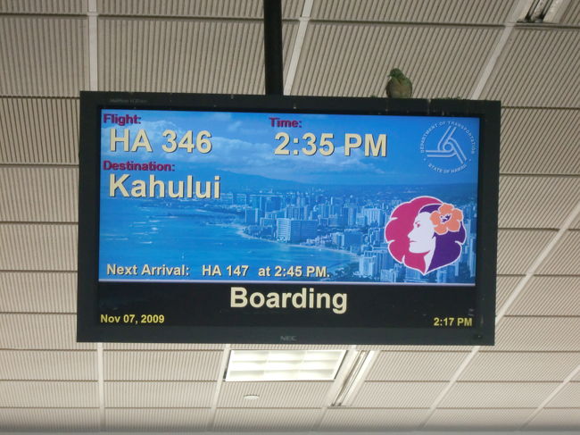 ハワイアン航空でいざマウイ島へ！