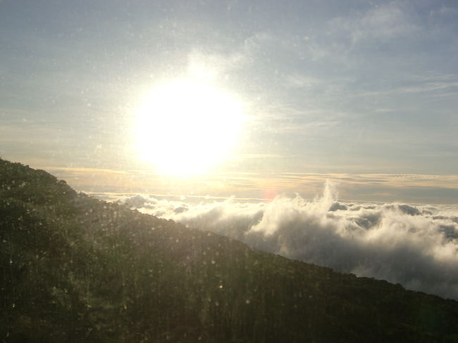 太陽が傾いてきました。