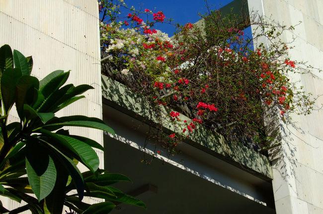 タナロット寺院ツアーの出発まで時間があったので、HOTELに戻って休憩する事に。