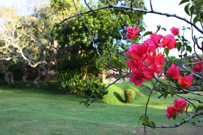 メングウィ王国の国家寺院として1634年に建設が始まったタマン・アユン寺院。<br />