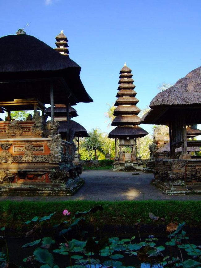 境内の周りを一周する。<br />中に造られた堀に浮かぶ蓮が、優しいピンクの花を咲かせていた。