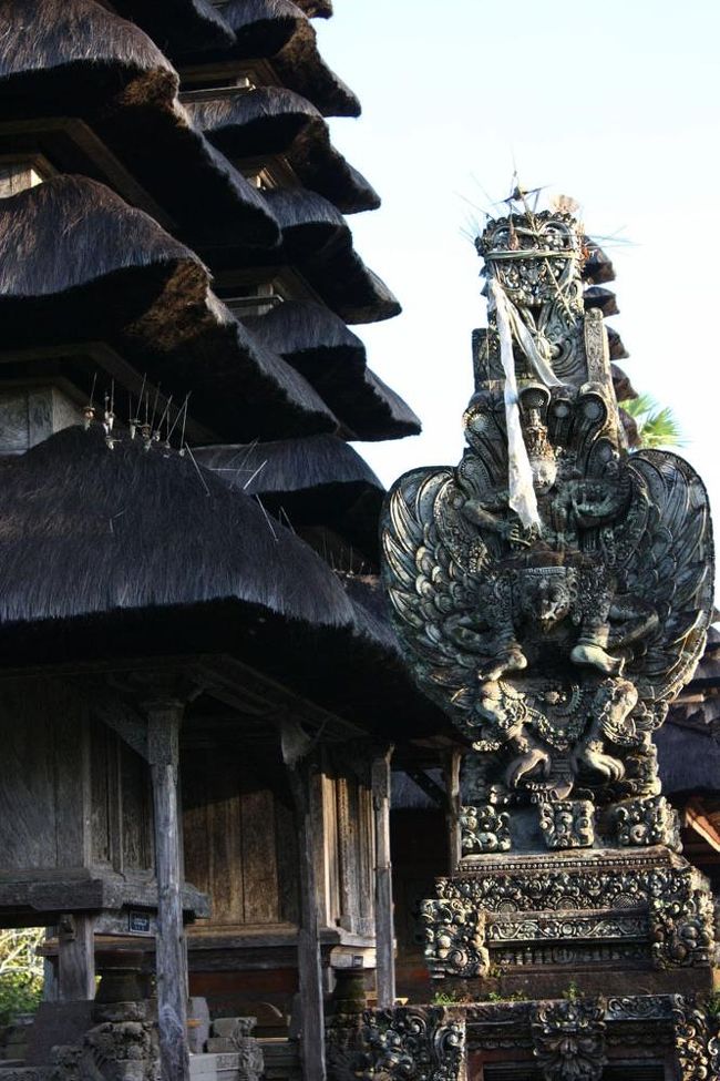 よく見ると、サトウキビの黒い茎で葺いた屋根に、細長い矢のようなモノがいくつも刺さっていた。