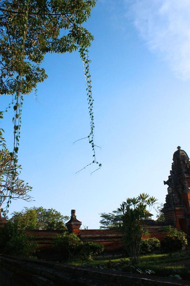太陽の恵みを目いっぱい受け止めて美しい庭園寺院がキラキラと輝く。