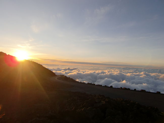 どうですこの素晴らしい雲海