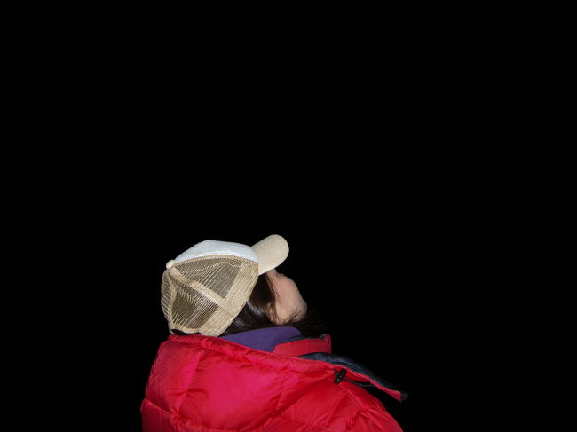 北には夏の星座が。