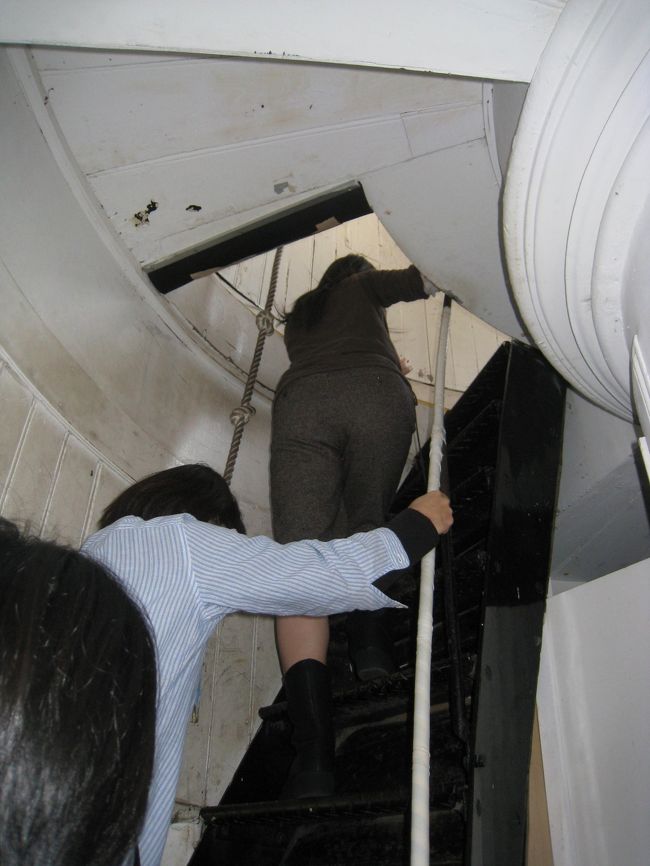 最後はかなり急。<br />全部で120段ぐらいやけど、運動不足の人間にはこたえる。