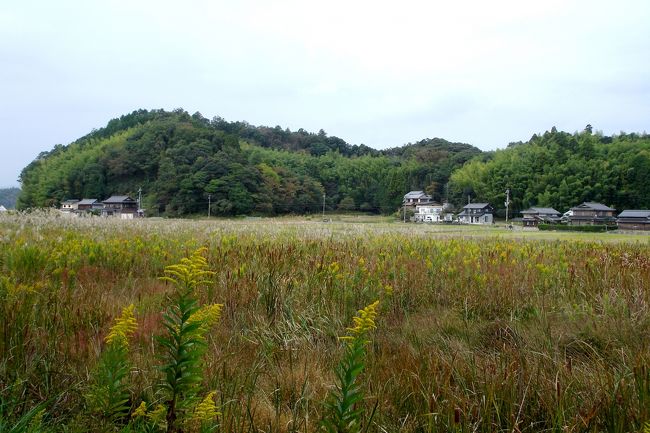 １０月２０日、８時４０分の電車に乗って小浜へ行こうと加斗駅へ。　　駅まで歩いて１５分位とホテルの案内書には書かれていた駅。　　ゆっくり景色を見ながら歩こうとホテルを出たのが８時頃。<br /><br />昨夜は暗い中、ホテルまで案内されたので駅が何処かははっきりと分からなかったのですが、あると思った方向へ、てくてく、この写真の田園の中を歩いたのです。<br /><br />１５分歩いても駅が見当たりません。　　そこへパトロール　カーが来て「地元の者ではないね」と話かけられ、「加斗駅へ８時４０分の電車に乗ろうとしているのですが、迷子になったようです」と告白。　　<br /><br />お巡りさんは駅へ行く道を教えてくれ、「急がないと間に合わないよ」<br /><br />しばらく急いで歩いていると、さきほどのお巡りさん、「駅まで送るから後ろに乗りなさい」　と我々二人を駅までおくってくれました。　　<br /><br />おくってもらわなかったら、乗りそこなうところでした。　小浜は僅か２駅ですが、電車の本数が１時間に１本ですから、近くて遠い場所。<br /><br />４トラベルで岡津に行かれる人がいましたら、「お巡りさん有難う御座いました」とお伝えください。<br /><br />