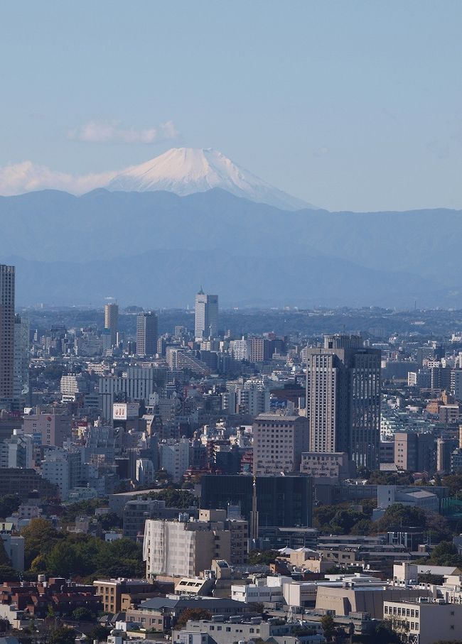 東京タワーから富士山が見えたー１ 三田 田町 芝浦 東京 の旅行記 ブログ By 義臣さん フォートラベル