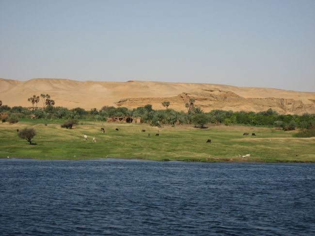 デッキからの眺め。<br />川沿いには緑が広がり、その向こうに砂漠が広がっています。