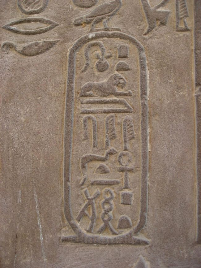 カルトゥーシュと呼ばれるレリーフ。<br />ここに王様の名前が刻まれてます。