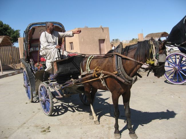 エドフの街からホルス神殿までは馬車で行きました。