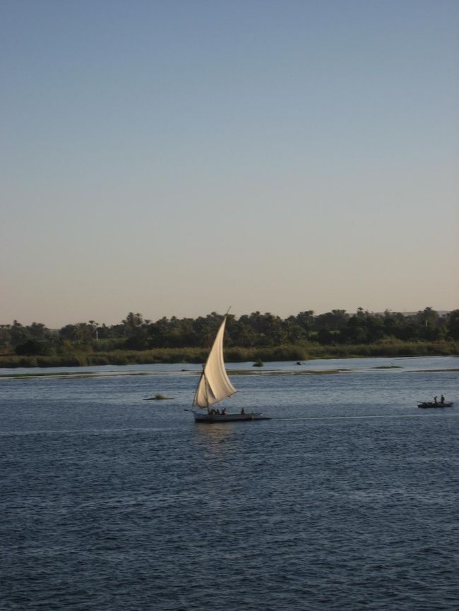 すれ違ったファルーカと呼ばれる船。