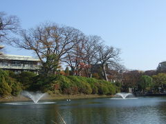 そしてさらに徒歩で移動。

千秋公園の外はお堀になっており、噴水があります。
夜はライトアップされていて幻想的です。