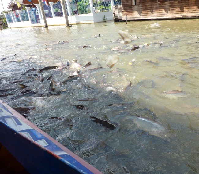 魚にエサ（パン）をやって遊びます。<br />パンは２０Ｂで売りに来ます。<br />もちろん売り子さんはボートでやってきます。