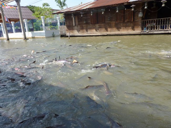 大きな魚はパンにかじりつきます。<br />