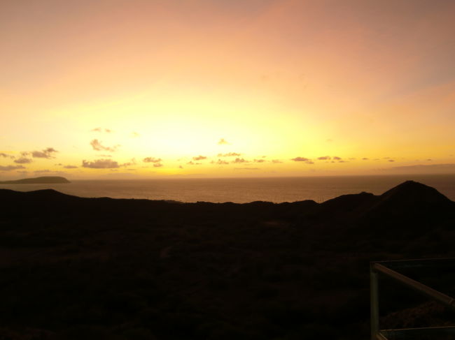 朝日に染まってきました。