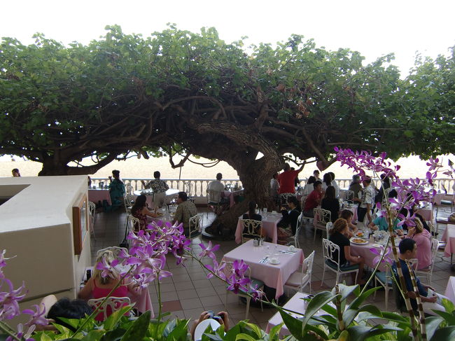 ビーチの見えるオープンテラス。<br />この屋根のような木はハイビスカスの<br />原種とのこと。<br />これ、１本の木なんです。