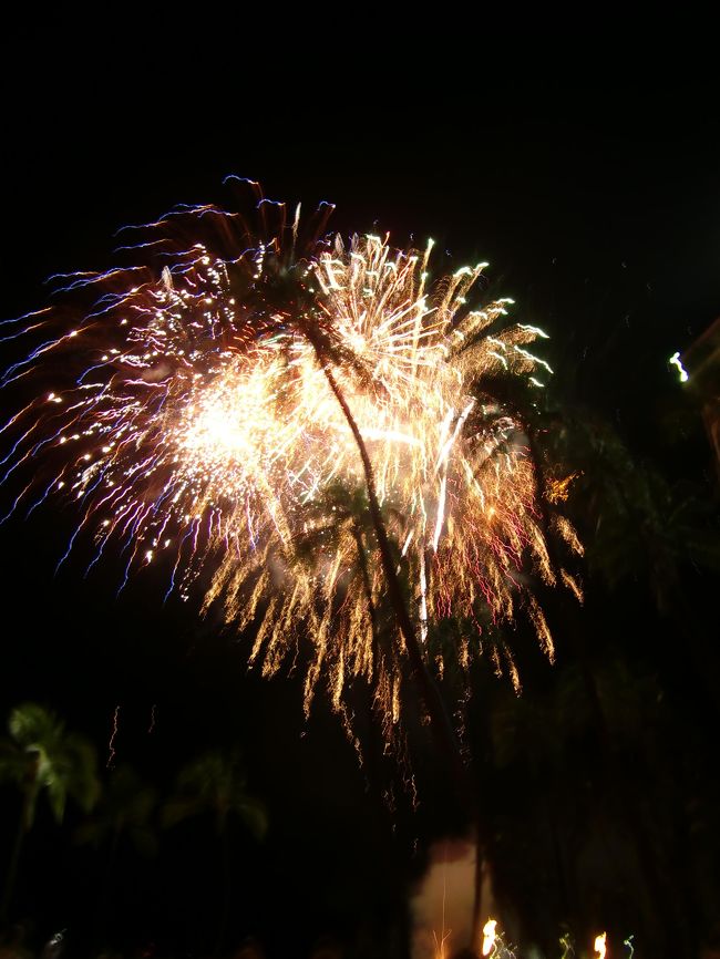 なかなかの迫力☆<br />よかったですよ！