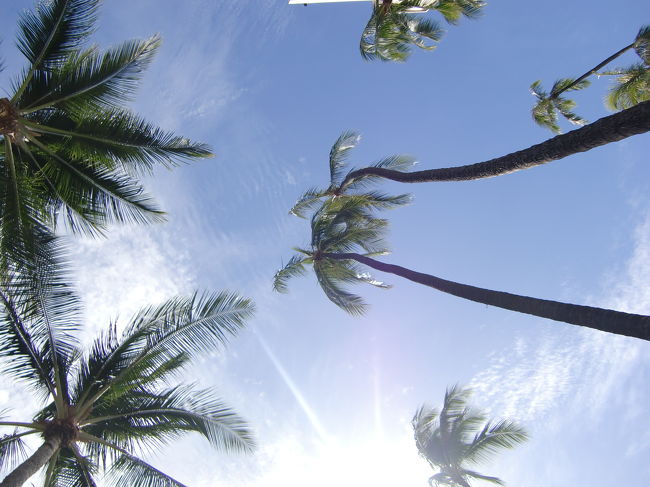 翌朝はのんびり起きてホテルのプールへ。