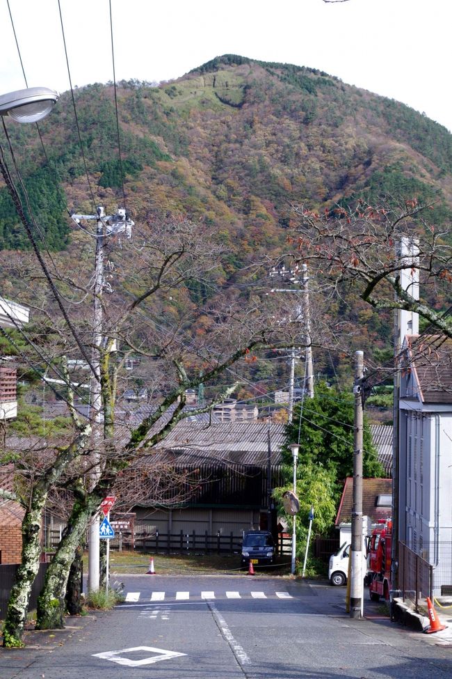 『強羅館』を出て左手　山の上に『大』の文字。<br /><br />焼くのかな？？？？