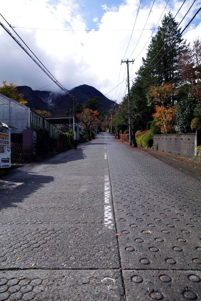 『強羅館』でて右手は山に向かっています。<br /><br />このころになると、気にしていた雨も上がりいい天気に<br /><br />なってきました。