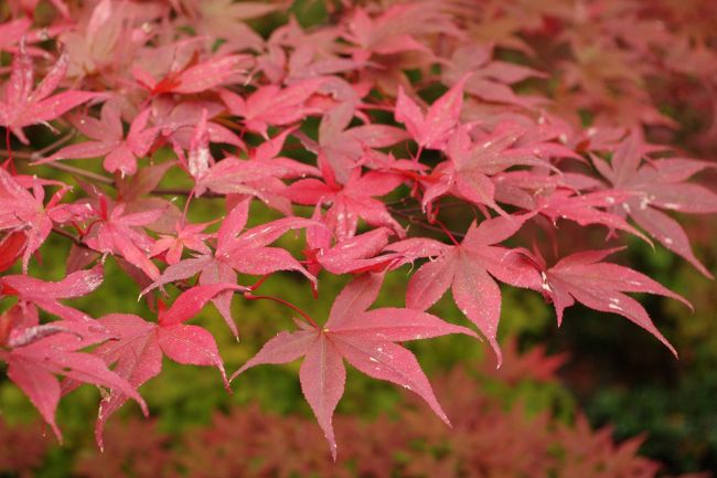 もすこし日がさすとか...<br /><br /><br />かな...