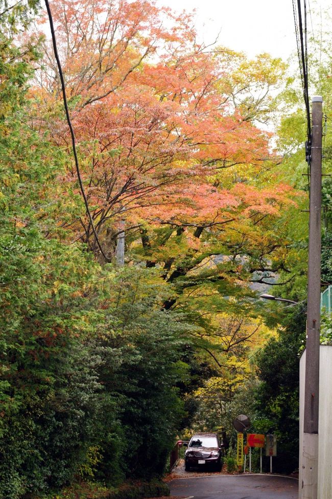 電線が邪魔ですが紅葉がいい感じ。<br />