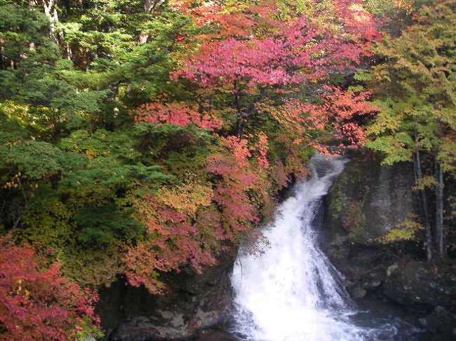 紅葉時期の双方の滝を一枚ずつ撮ってみました。