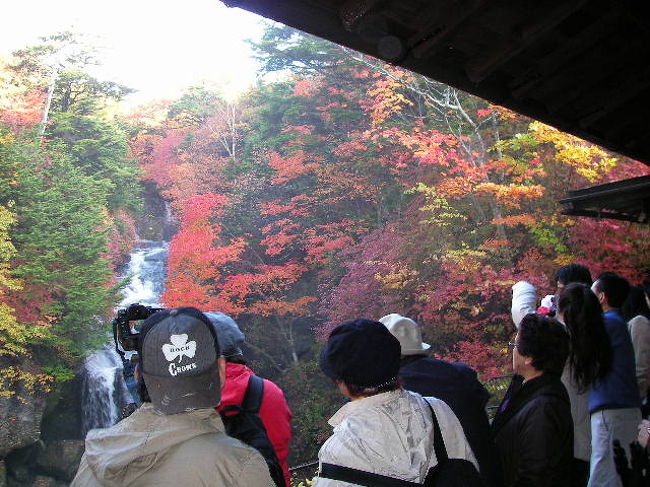 プロ・アマ問わず多くの人の撮影風景