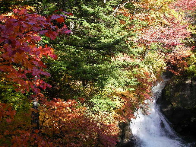 少し陽が射すとまた違った感じです。