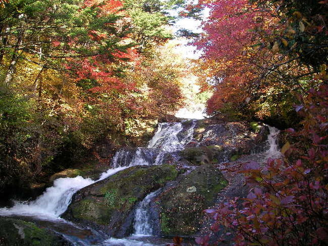竜頭の滝の上流まで行ってみます（^v^）<br />