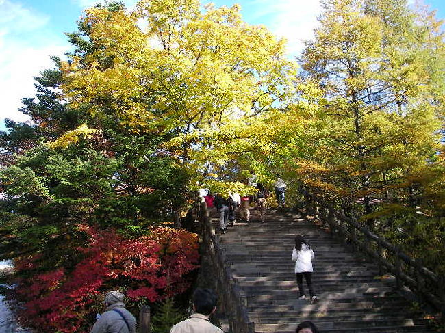 さて！<br /><br />暫く上に登って更に散策してみよう♪