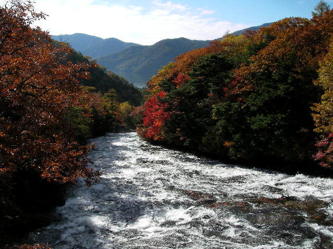橋から見た上流の風景