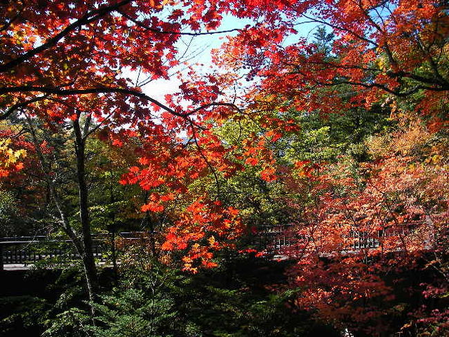 うぅ〜ん、赤が綺麗<br /><br />この時期ならではの色合いですネ♪