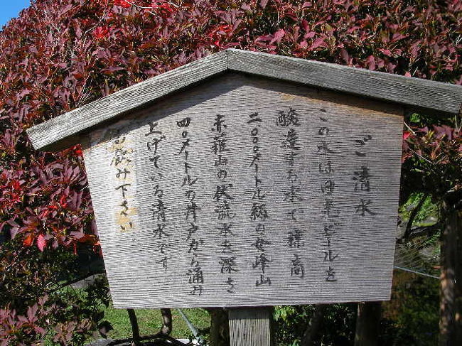 ビールは飲んでません！（運転中なので）<br /><br />