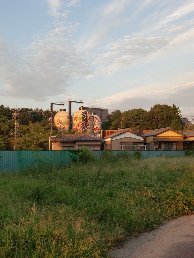 小高い場所に上ると、意外なスポットが。