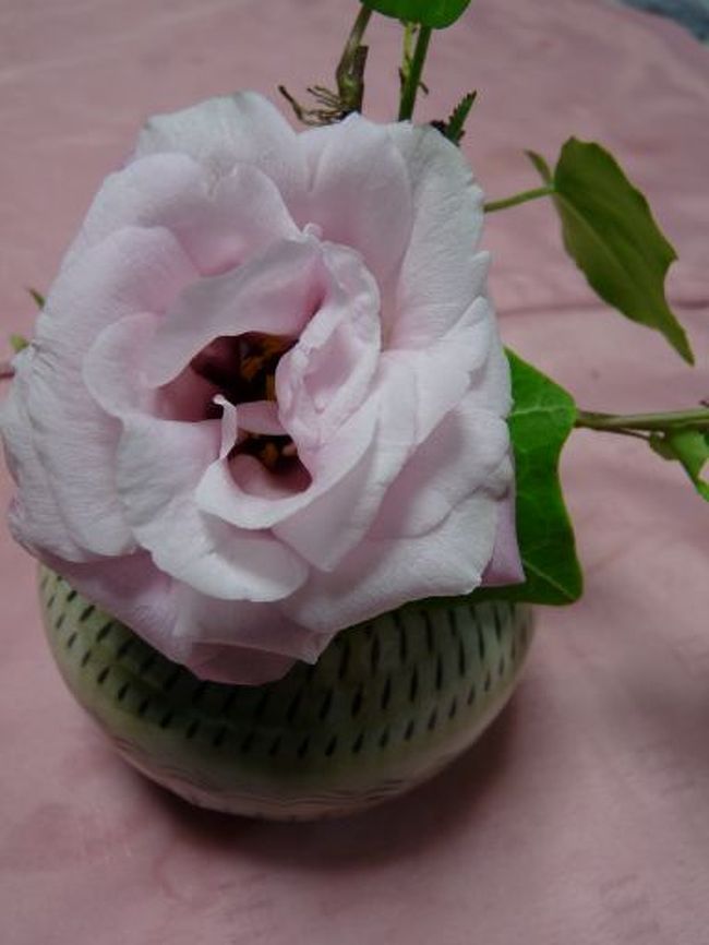 一輪挿しです。<br />この模様がまさに昔からある小鹿焼きだと思います。<br />シンプルな器だから生ける花がはえるんだよね。<br />これも焼きむらがあったので４００円。<br />どこにむらがあるの？っていうぐらい程度の良い一輪挿しでした。