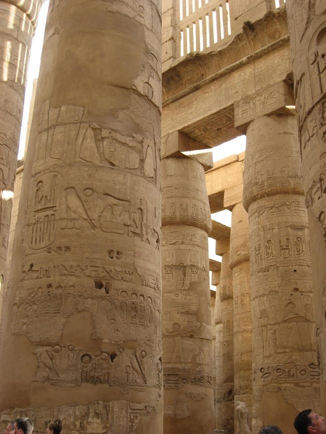 とにかくでかい！