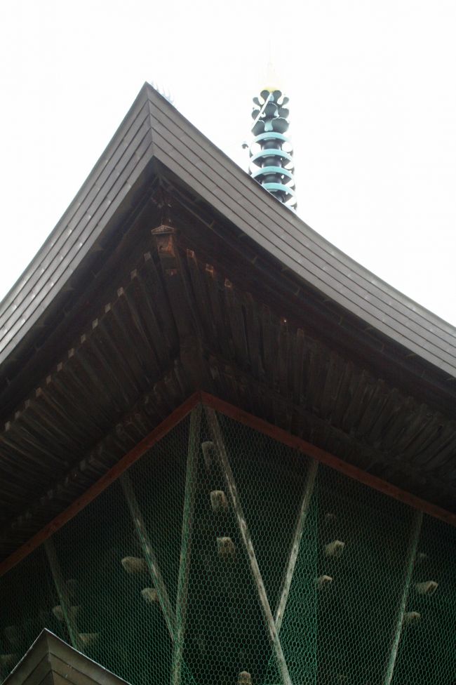 斜め前から見上げた多宝塔の光景です。芭蕉の句碑は、この多宝塔の脇に建っていました。