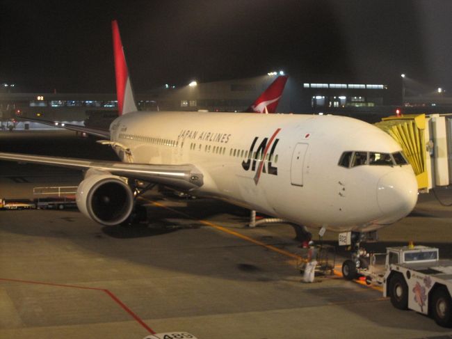 この飛行機にのります♪<br /><br />飛行機大好き！