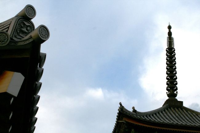 法花院と甚目寺の境当たりからの撮影です。左が法花院の建物の軒先、右が甚目寺の三重塔です。