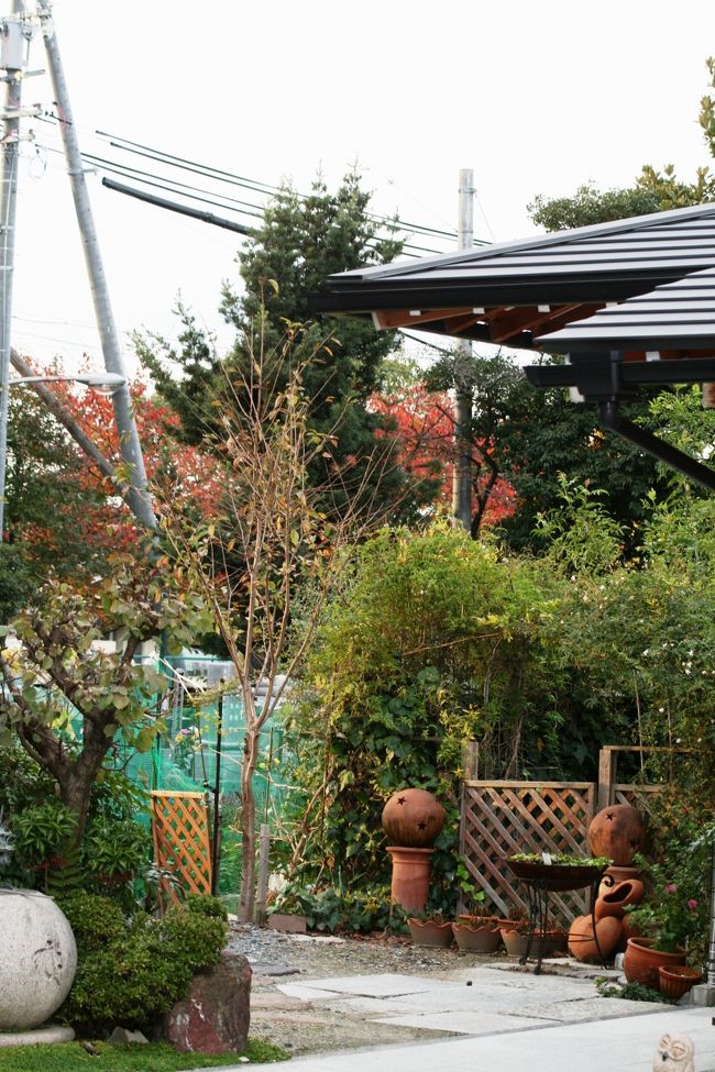 同じく法花院の境内の光景です。生活臭が感じられますから、庫裏のようです。