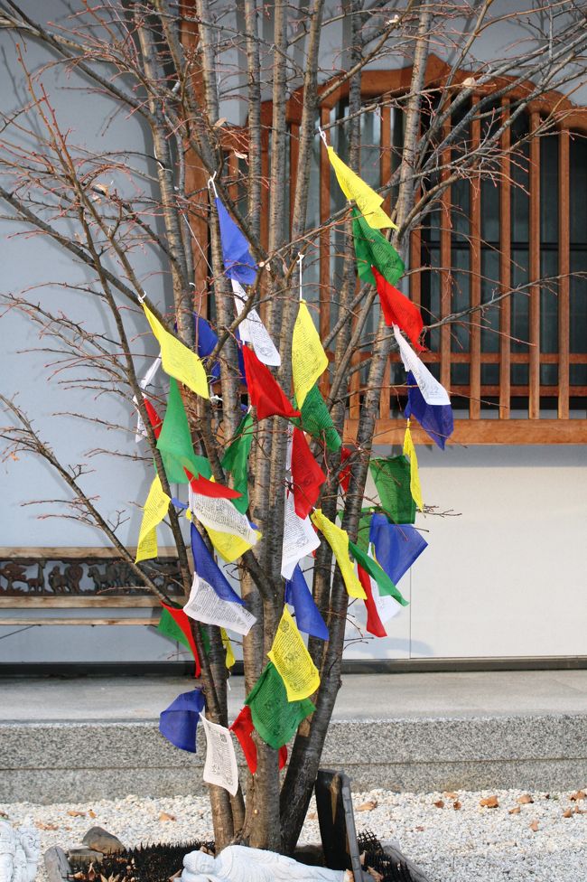 冬木立となった庭木に結び付けられていたカラフルな布です。遠目には、七夕飾りに見えました。