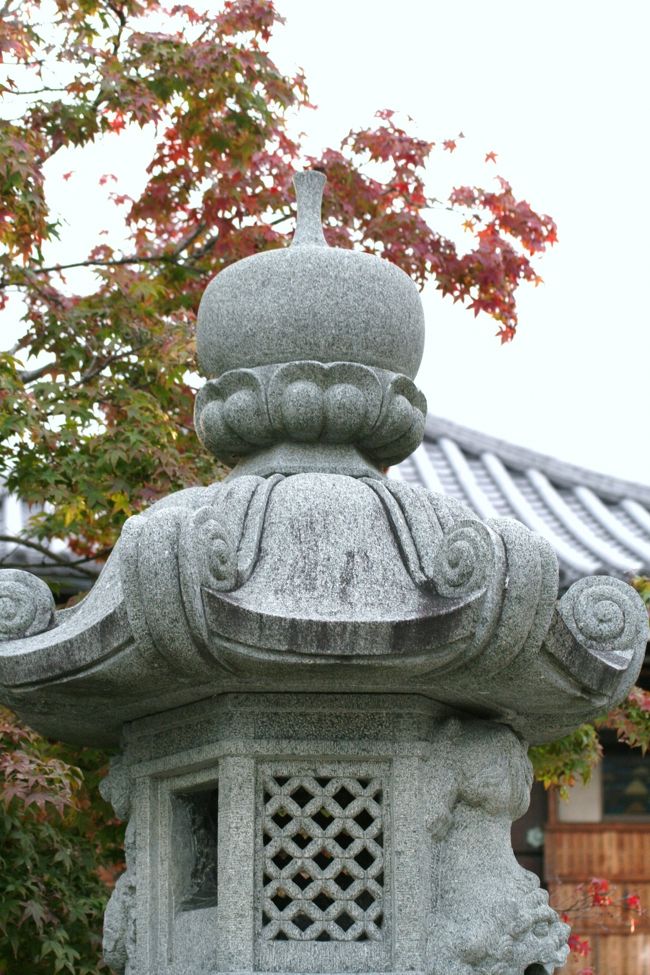 石灯篭と楓の光景です。楓の紅葉は、これからが本番です。
