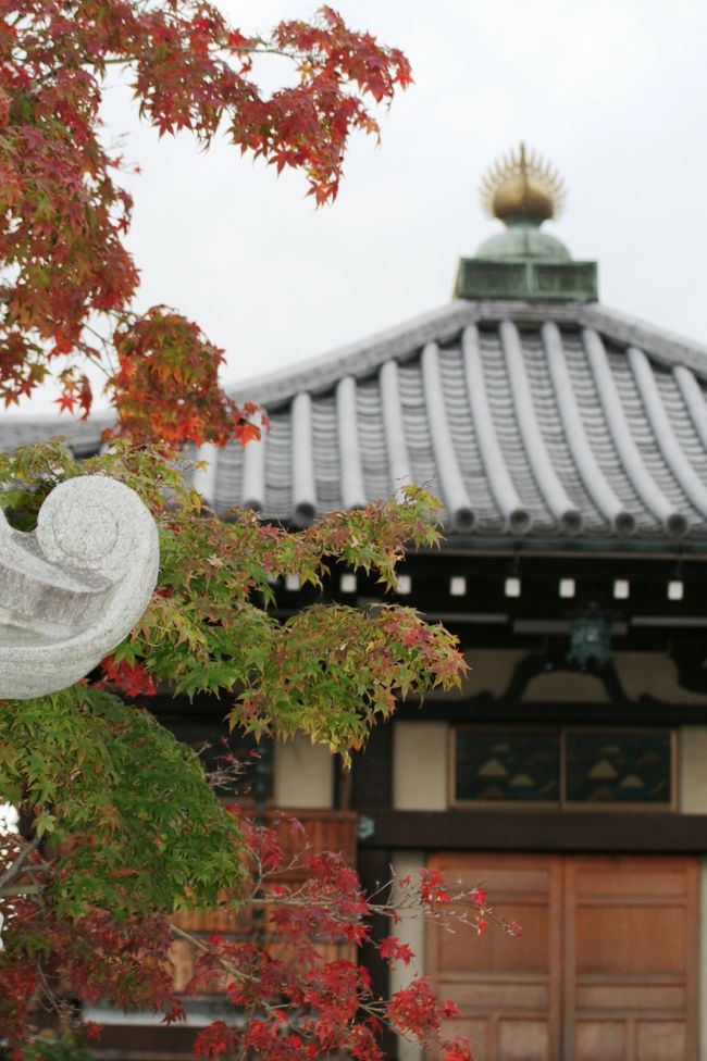 阿弥陀堂と楓の光景です。石灯篭の右端も見えています。