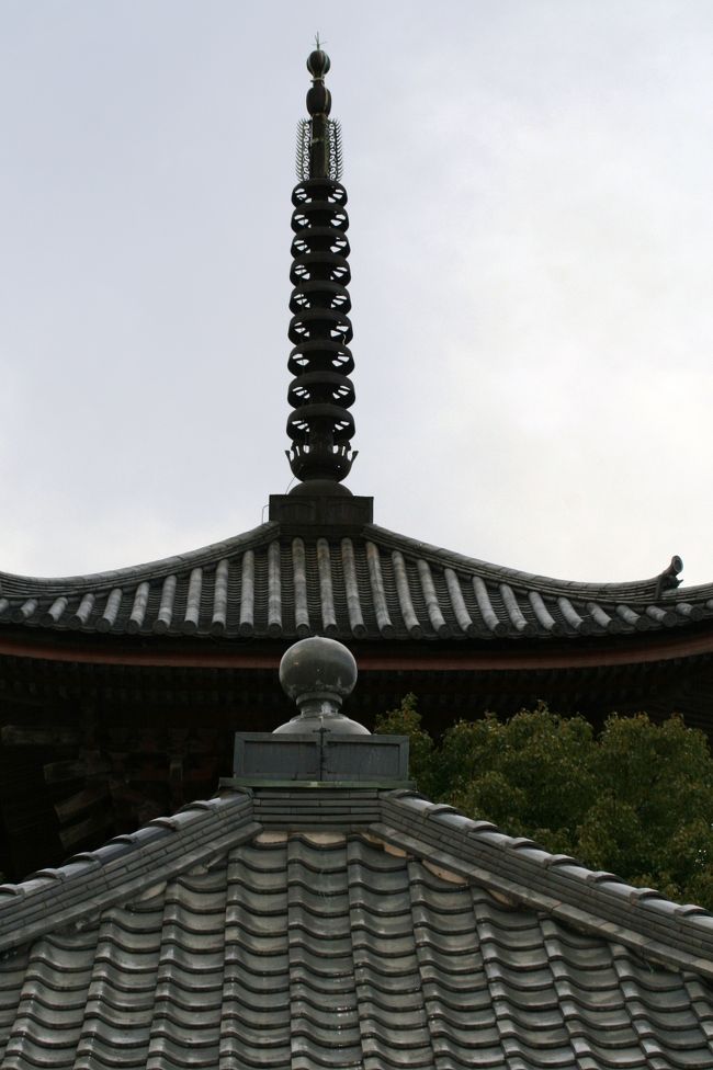 手前側の低い建物の屋根は、秋葉堂と呼ばれる建物のようです。その後ろは三重塔です。建物の向きが統一されていました。