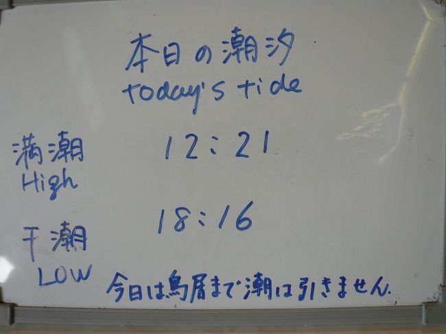 下調べした通りで、<br />「今日は鳥居まで潮は引きません」とのことですが、<br /><br />何とか満潮には間に合いました。<br /><br />干潮まで半日松島を堪能しました。