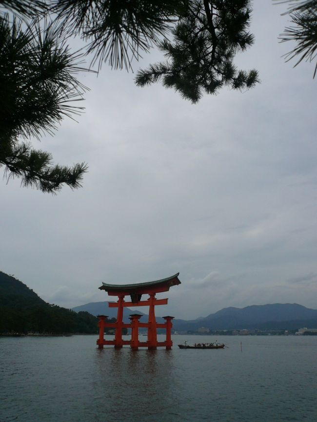 大鳥居が見えてきました。<br /><br />松の木＆海の上に立つ大鳥居。<br /><br />素敵です。