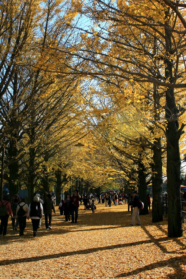 国営昭和記念公園